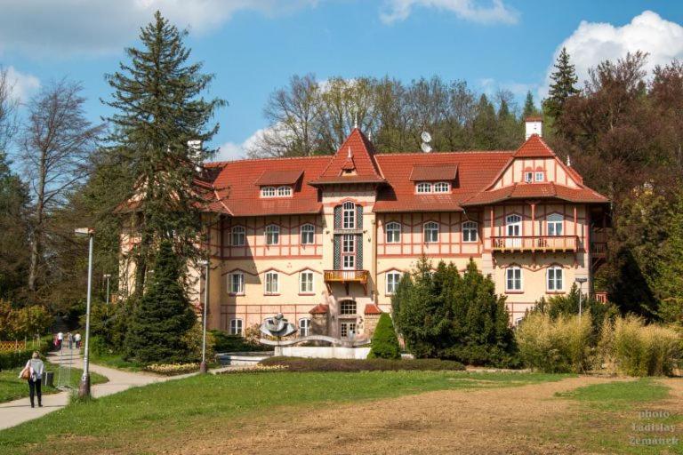 Kapsle Luhacovice Apartment Екстериор снимка